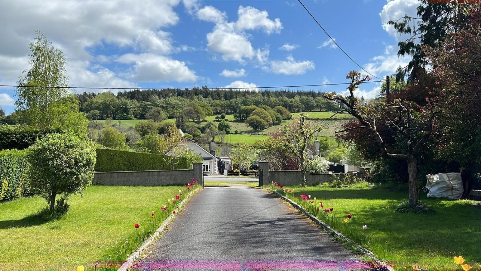 Avonbeg Cottages 2 Bed 1 Bath Accommodate 3 Guests Rathdrum Exteriér fotografie